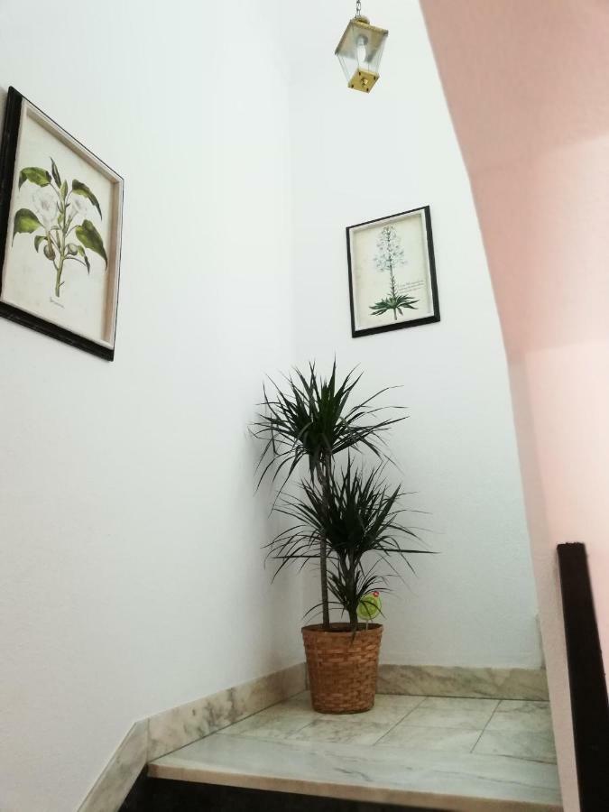 Arronches Villa Extérieur photo