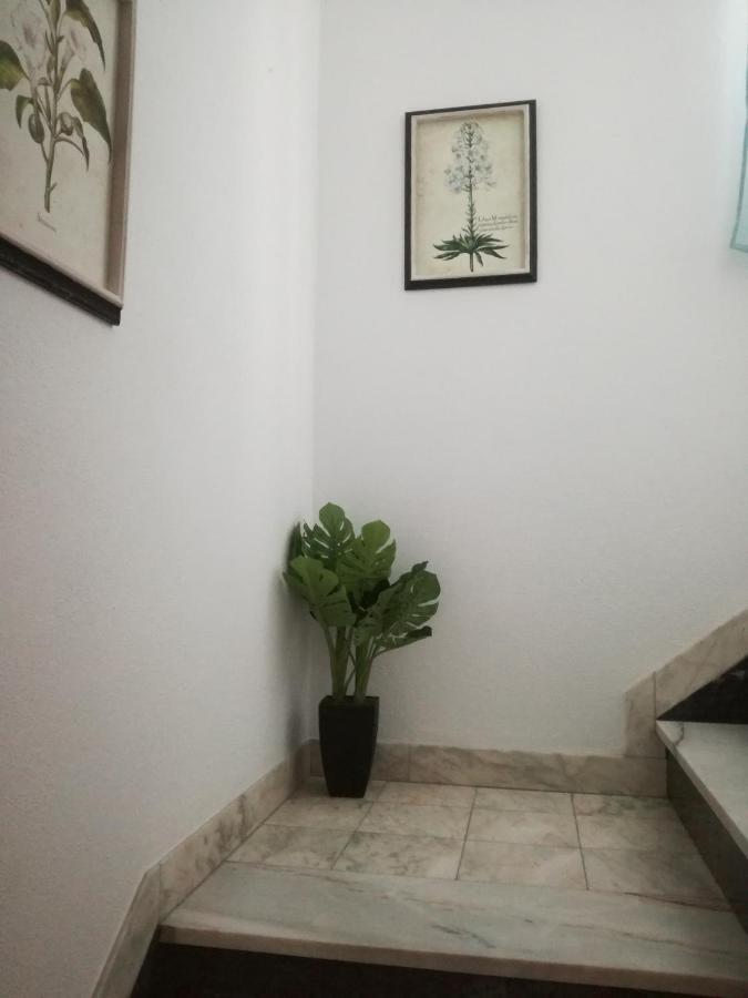 Arronches Villa Extérieur photo